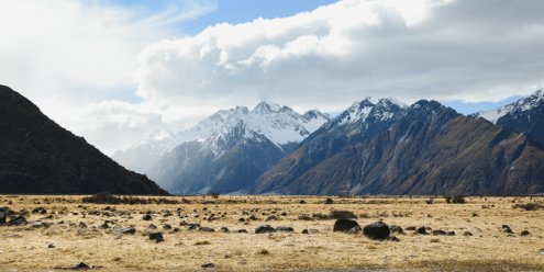 David Webb to lead Edison’s South Island office